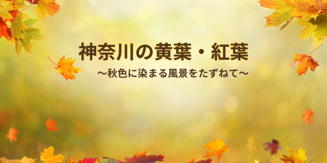 神奈川の紅葉・黄葉の名所 2025